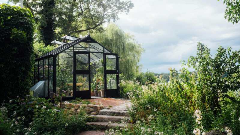 Ultimate Guide to Creating a Beautiful and Functional Garden